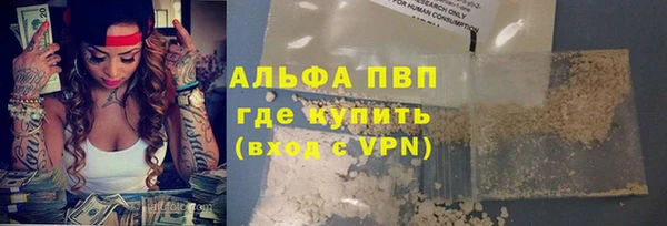 амф Анжеро-Судженск
