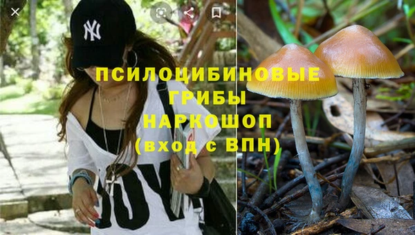 метадон Анива