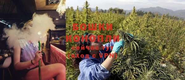 спайс Лагань