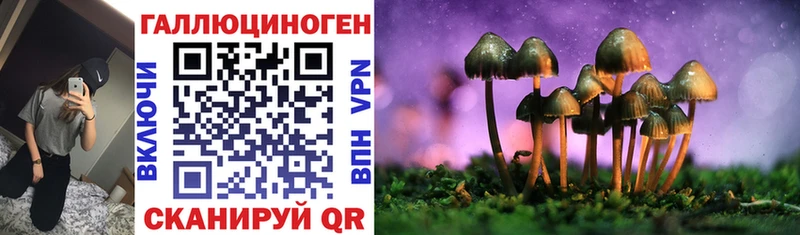 Галлюциногенные грибы Cubensis купить наркоту Лысьва